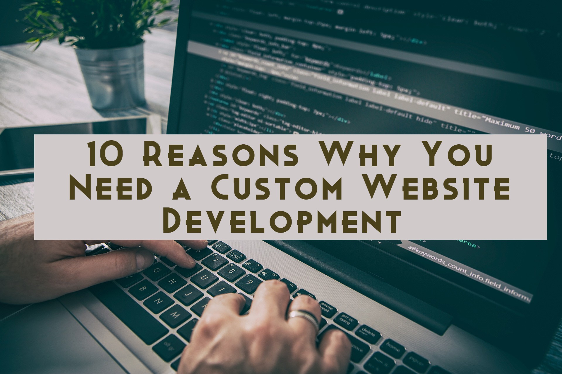 Custom Web Development